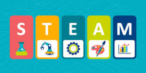 Training, Support, Courses